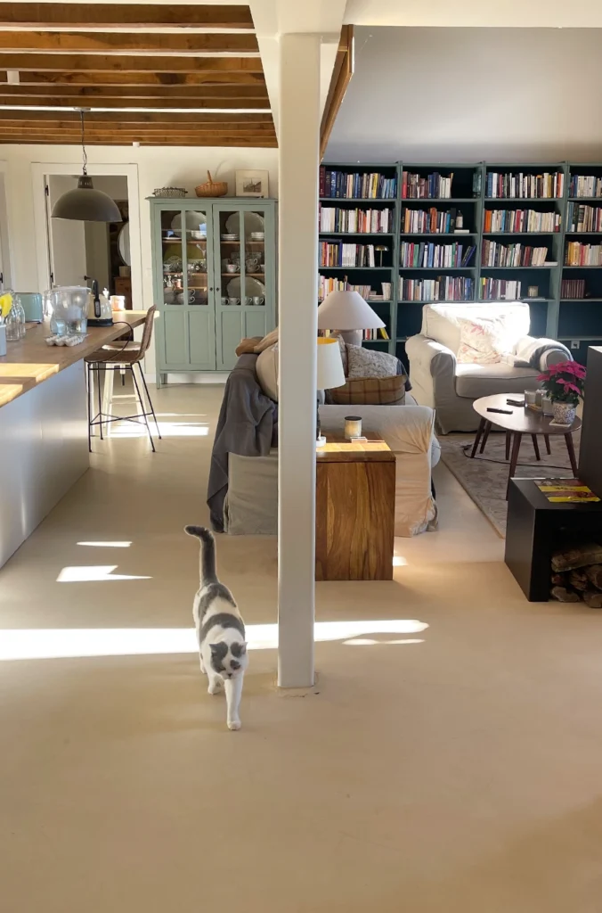 Cocina y salón de concepto abierto con microcemento